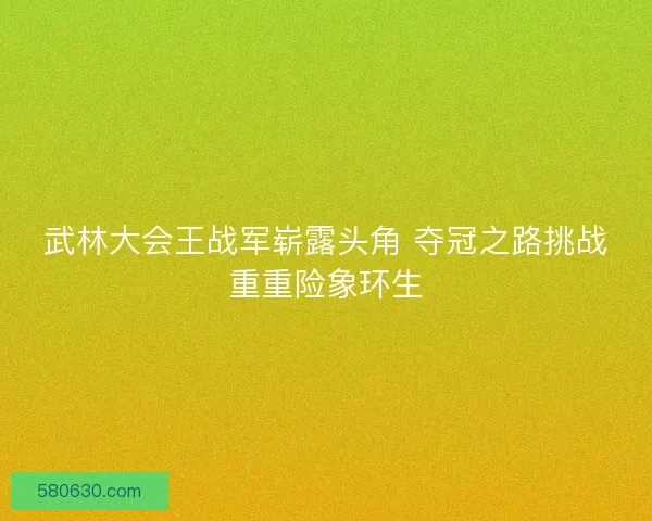 武林大会王战军崭露头角 夺冠之路挑战重重险象环生